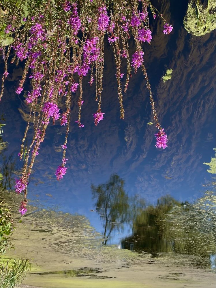 Фотография автора Olga Andriuc