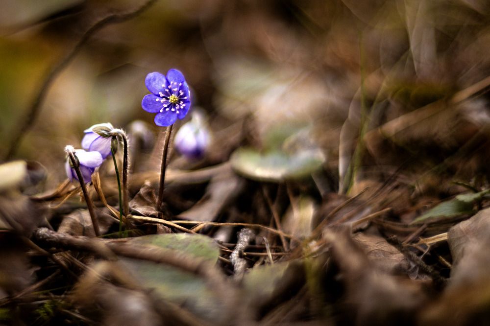 Photograph by Anna Suchcicka