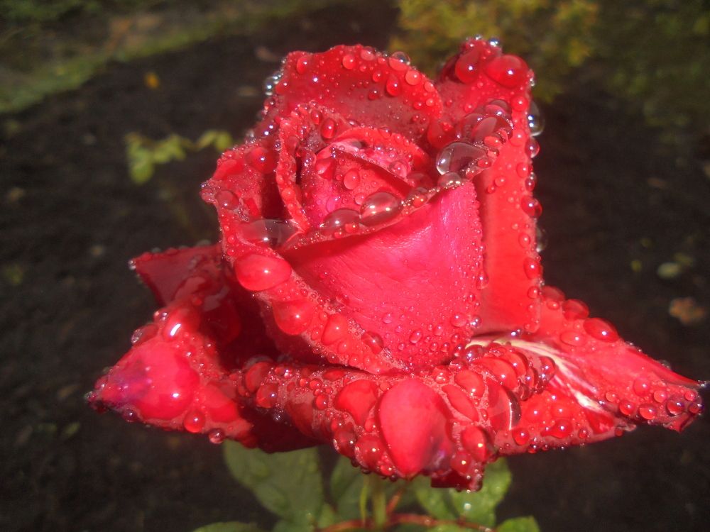 Photograph by Лилия Исхакова