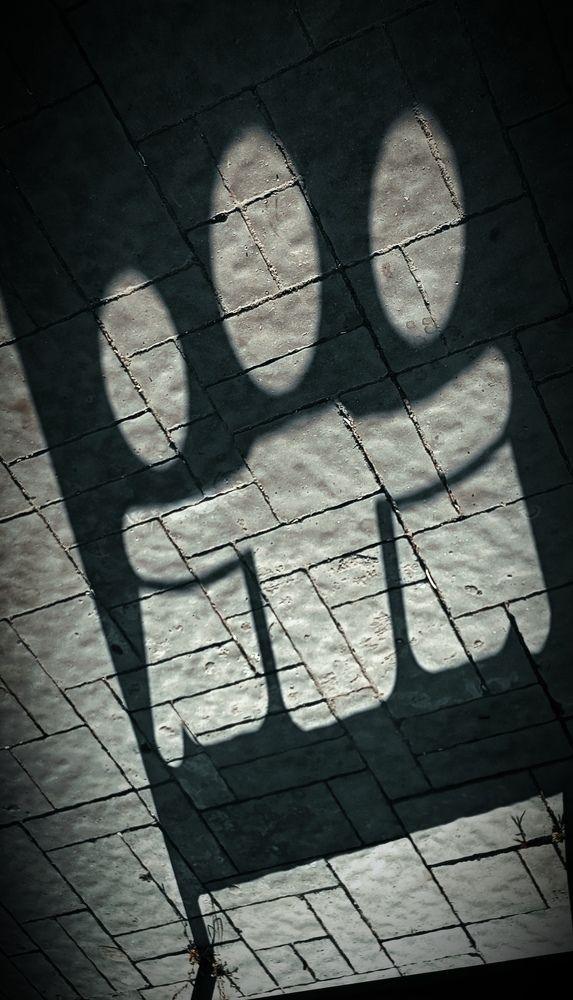 Фотография автора Наталья Алексеева