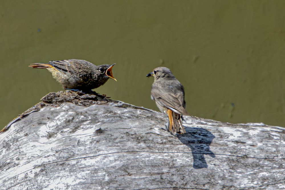 Photograph by Anna Suchcicka