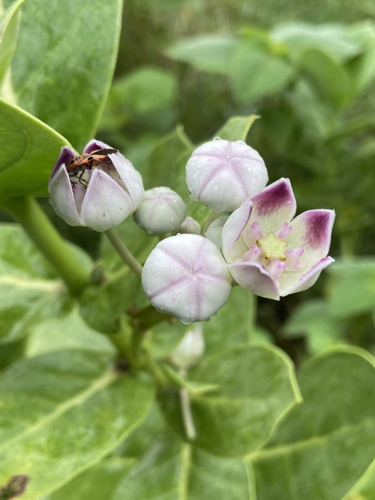 Photograph by Shivam Kashyap