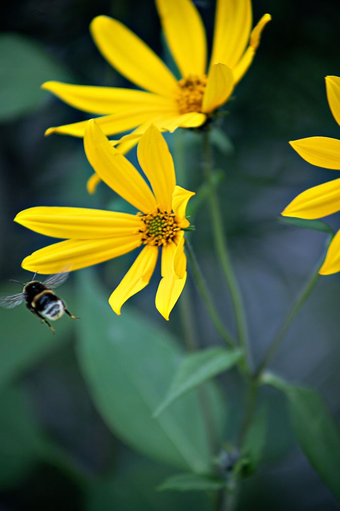 Photograph by Елена Гостева