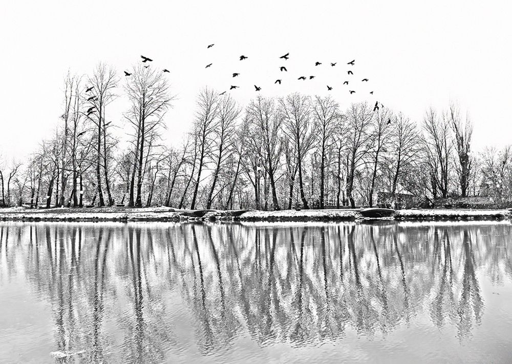 Photograph by Iraj Jabbari