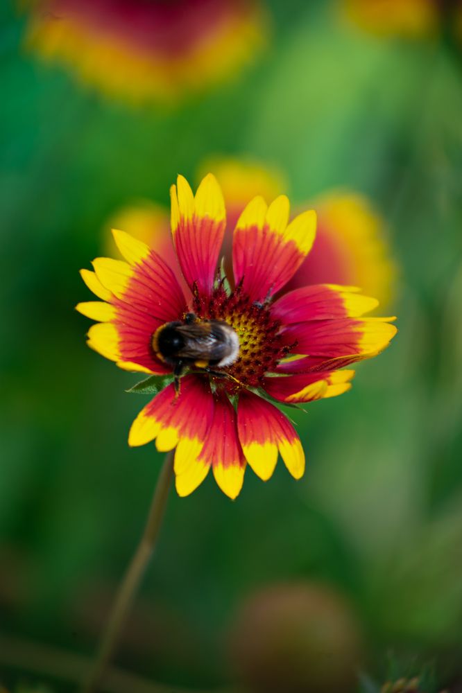 Photograph by Елена Гостева