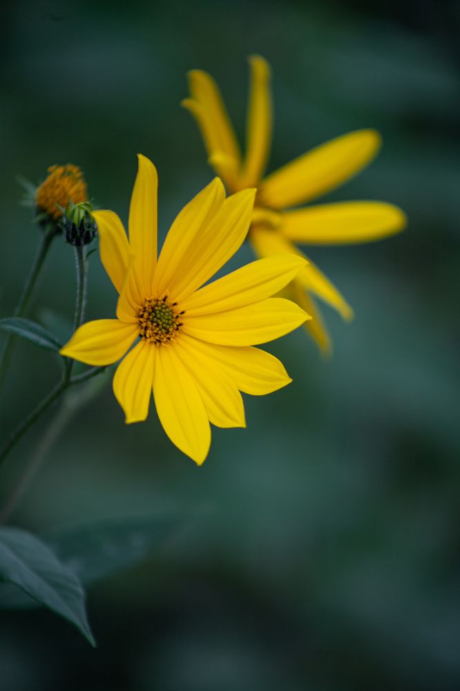 Photograph by Елена Гостева