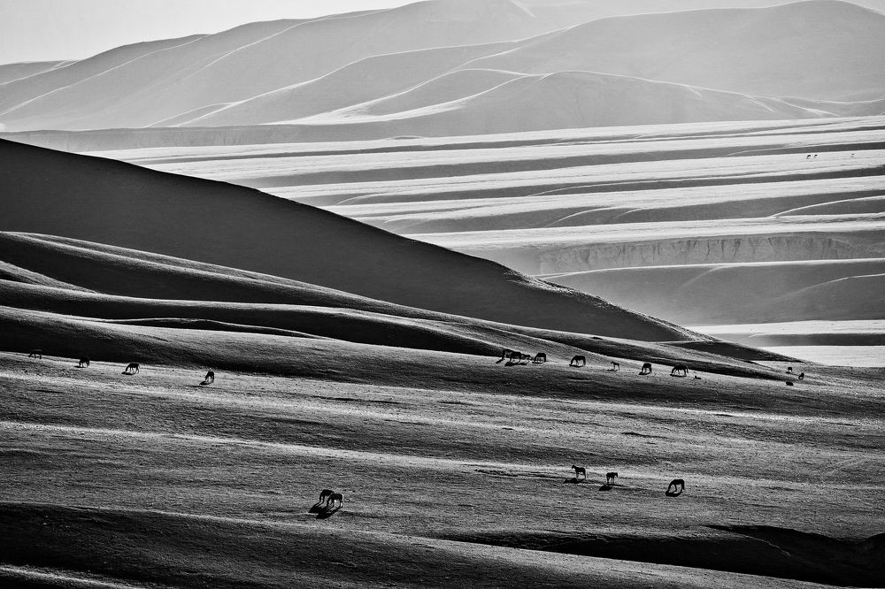 Photograph by Сергей Межин