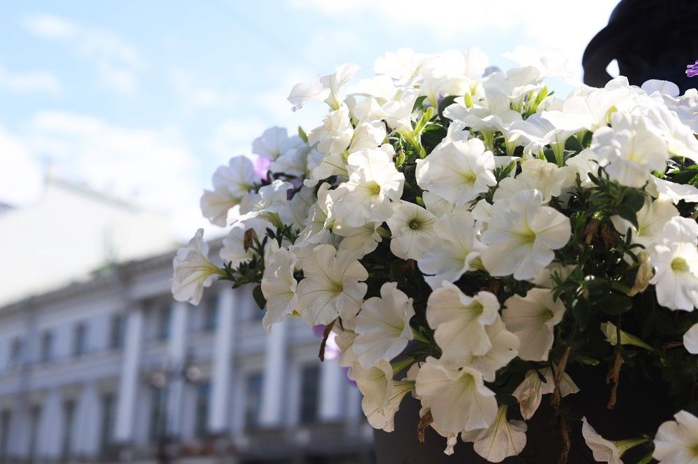 Photograph by Наталья Ананьева