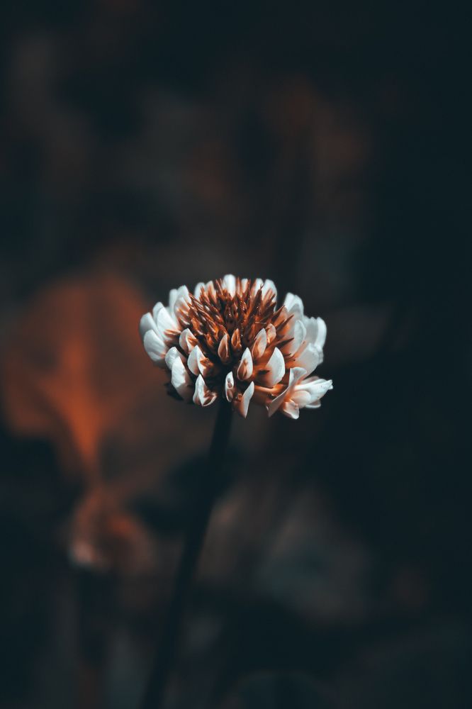 Photograph by Кристина Полякова