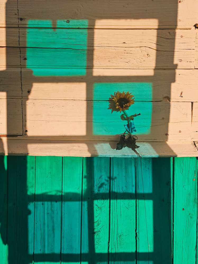 Фотография автора Ольга Шишук