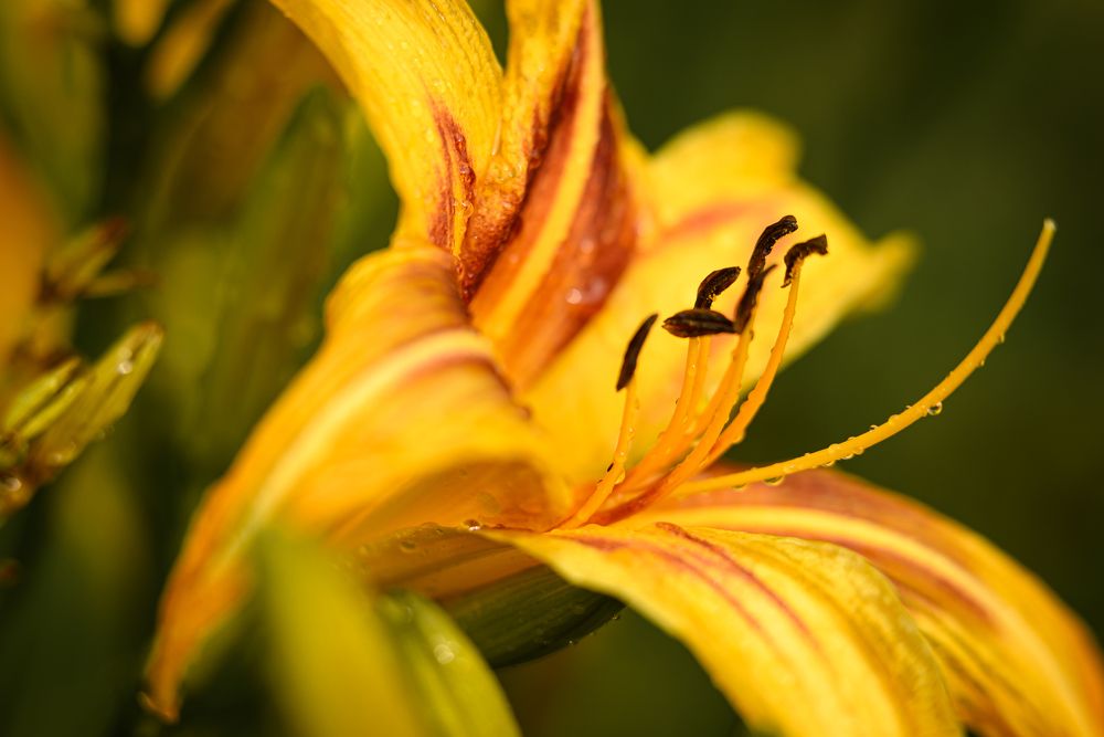 Photograph by Дарья Кончакова