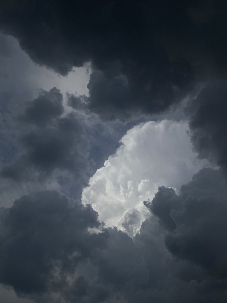 Фотография автора Meline Mikoyan