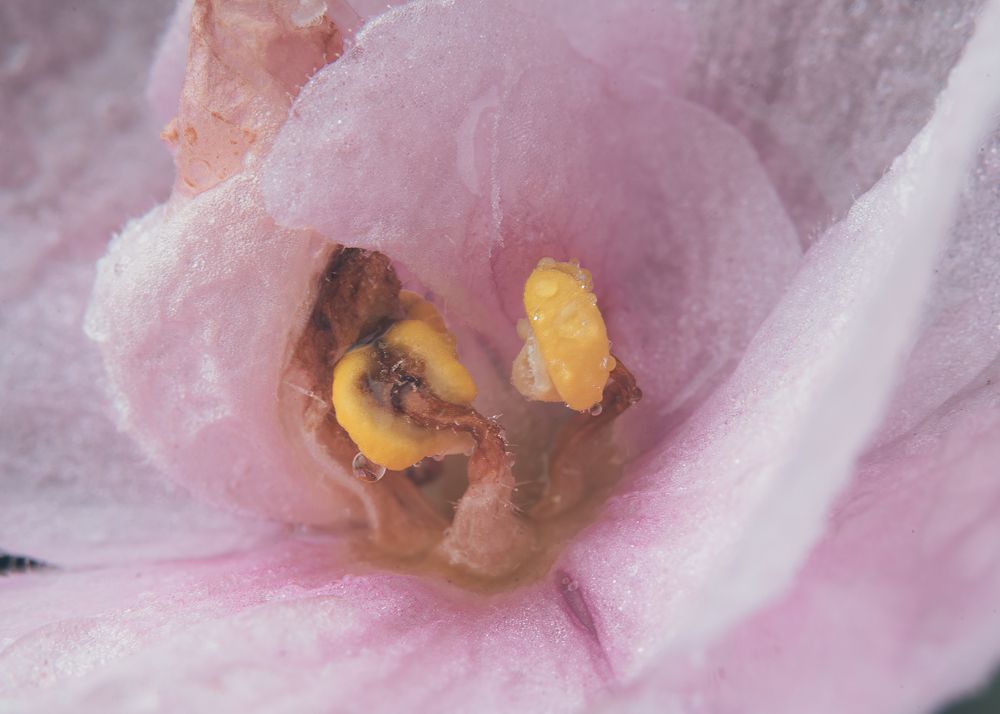 Фотография автора Николай Гришин