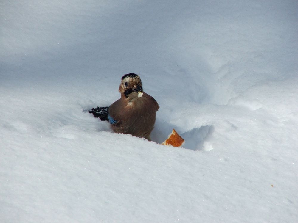 Photograph by Cengiz Yalcin