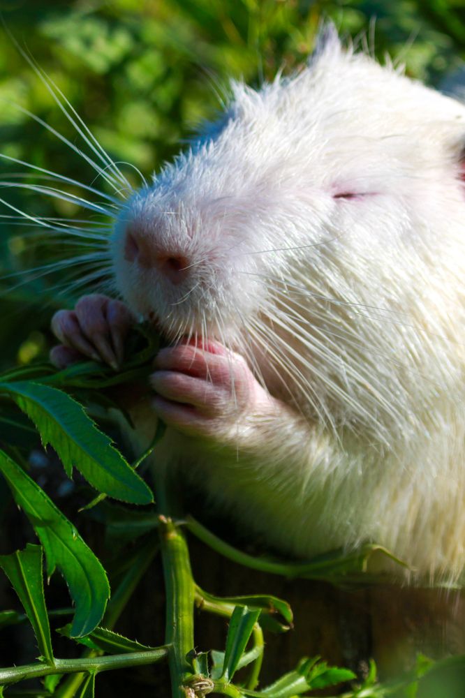 Фотография автора Elena Ku