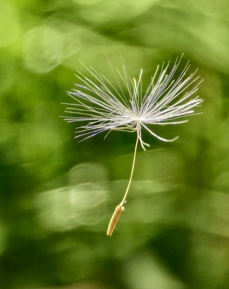 Photograph by Михаил Саидов