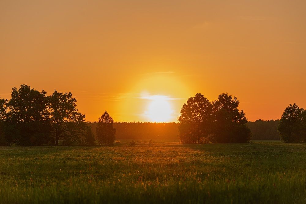 Фотография автора Олег Титкин