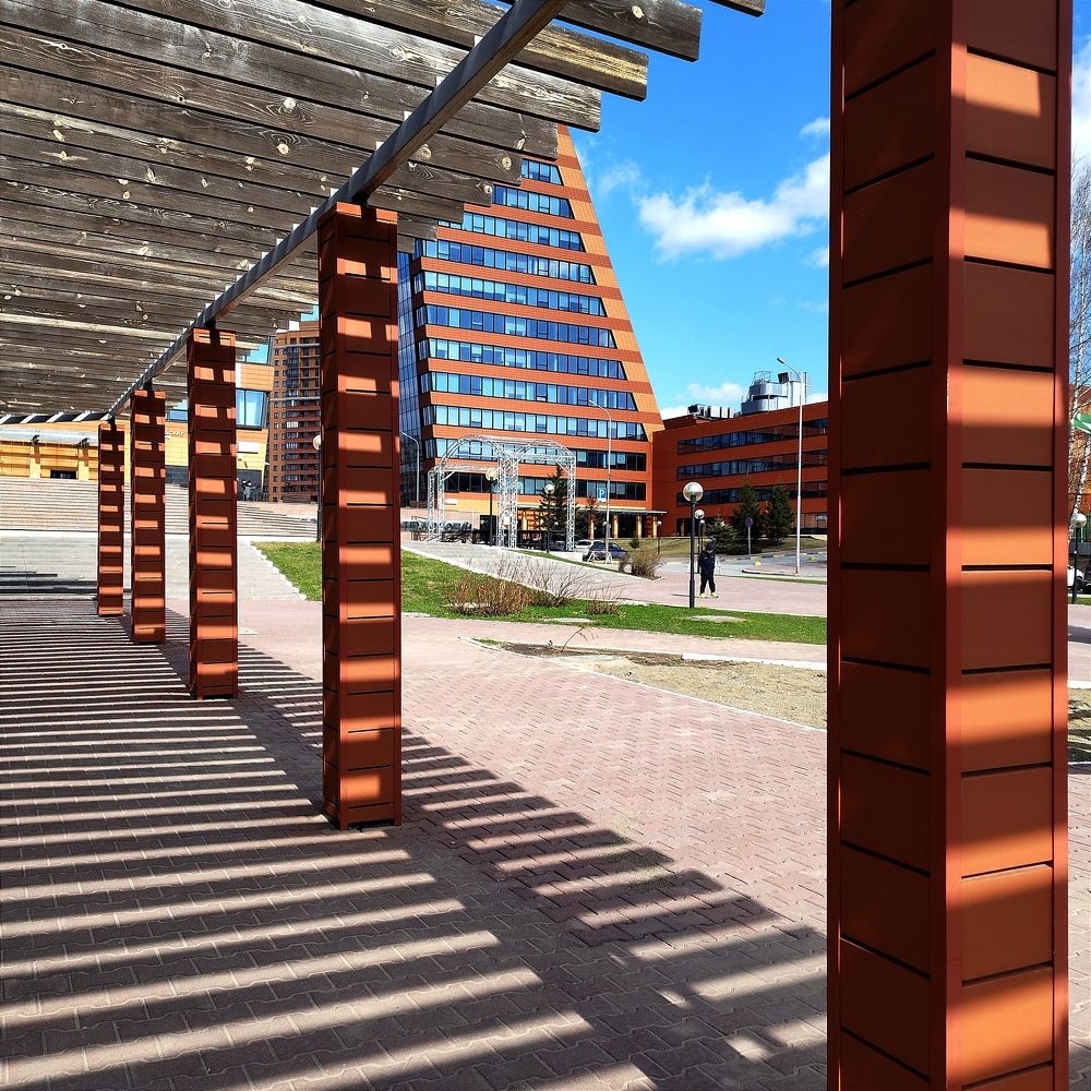 Полосатая жизнь