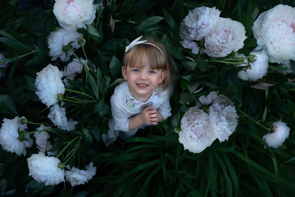 Фотография автора Светлана Новожилова