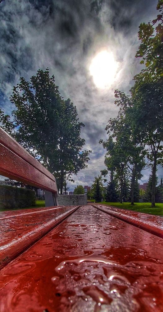 Фотография автора Алёна Михайлова