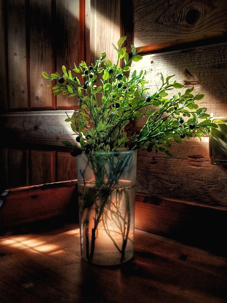 Photograph by Банановый Маффин