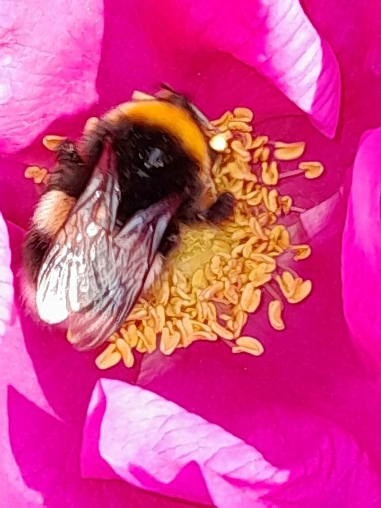 Photograph by Виталий