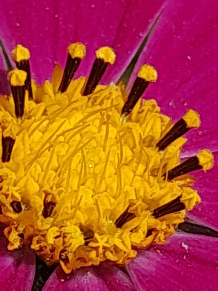 Photograph by Виталий