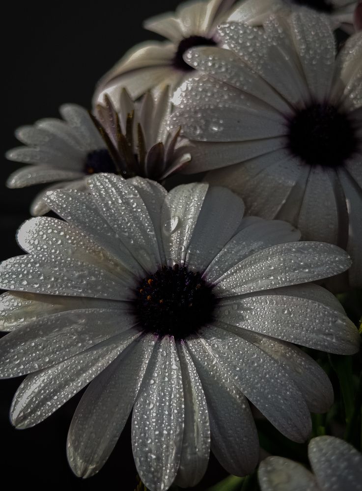 Фотография автора Ольга Кунакова