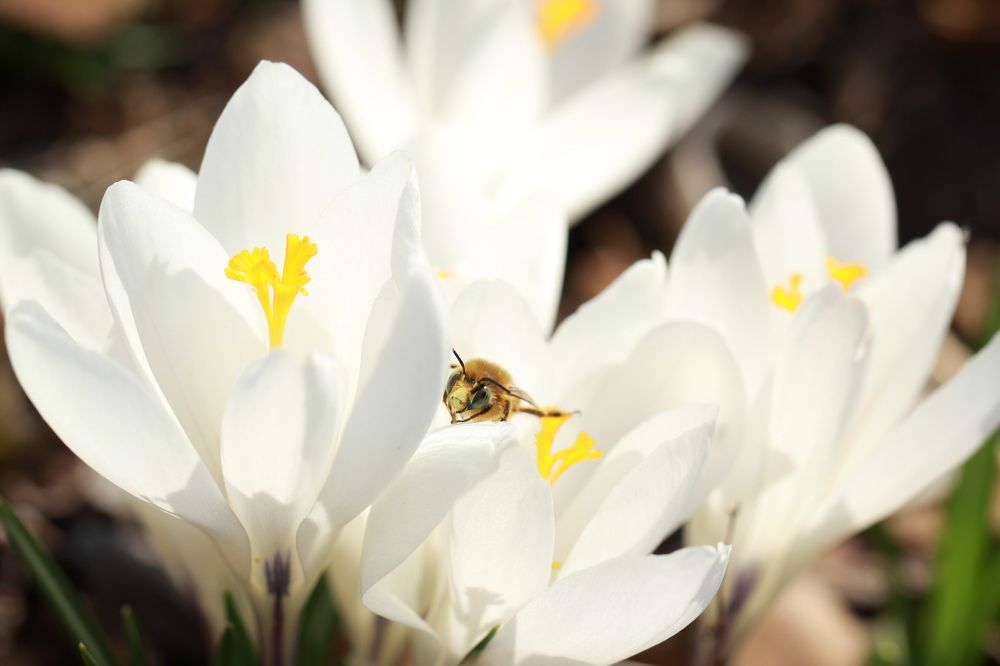 Photograph by Василика Кондратьева