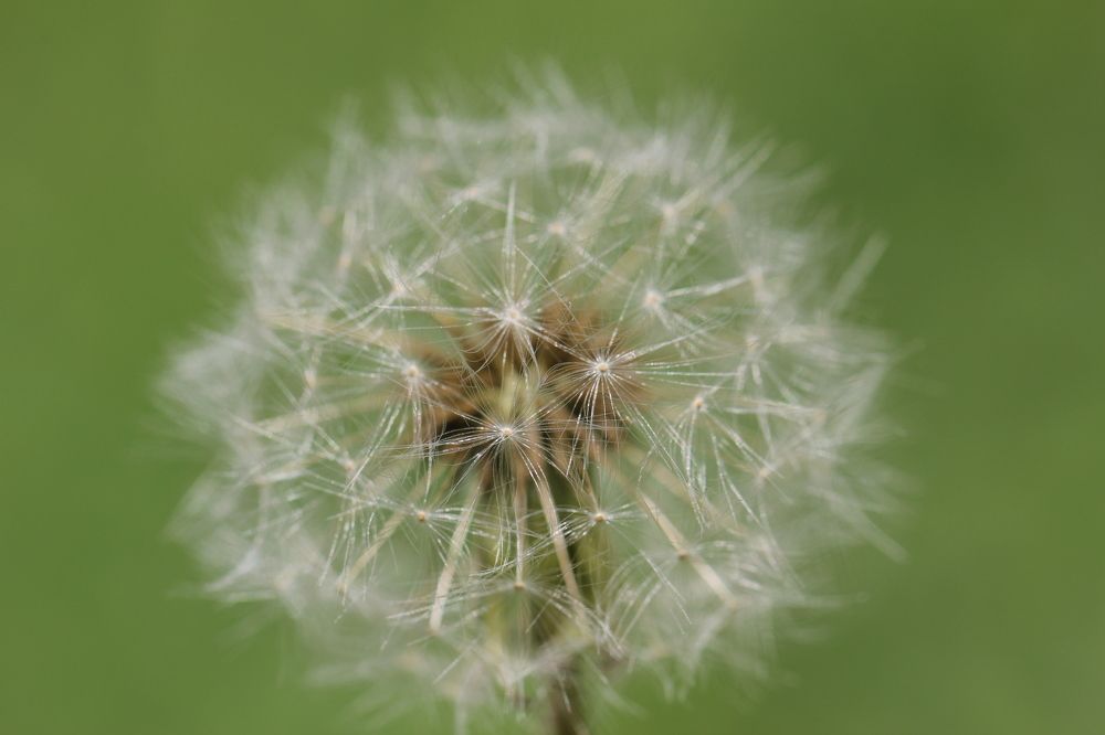 Photograph by Василика Кондратьева