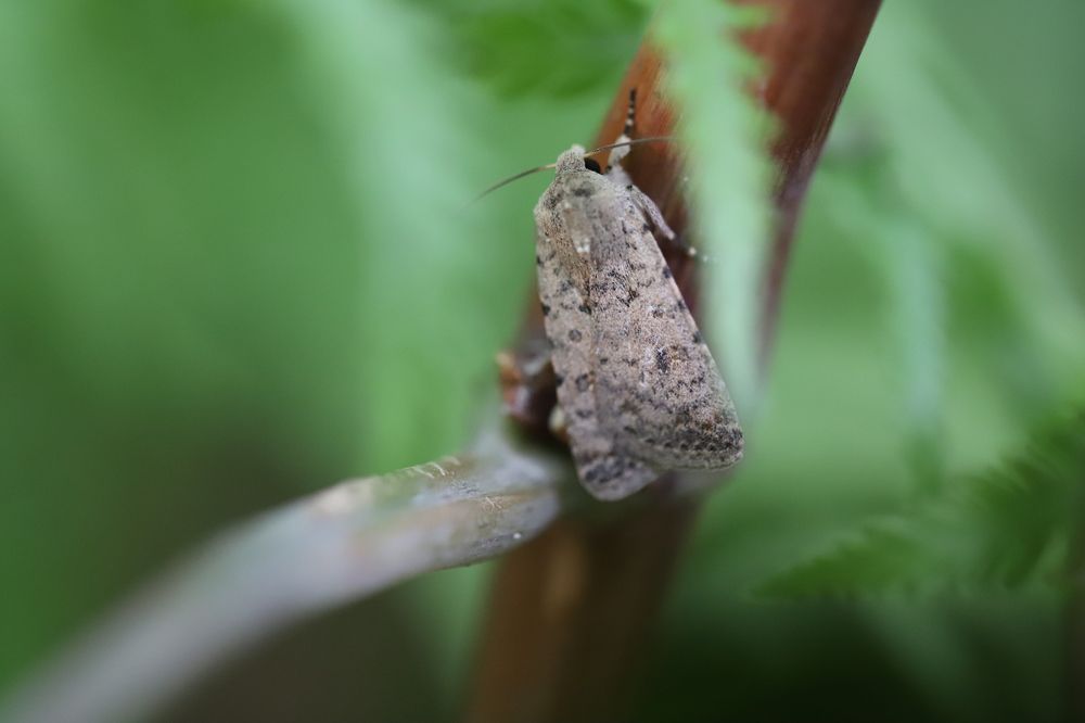 Photograph by Василика Кондратьева