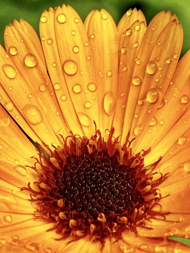 Photograph by Ирина Селиверстова