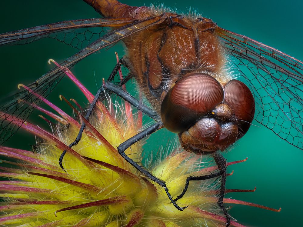 Photograph by Олег Савицкий