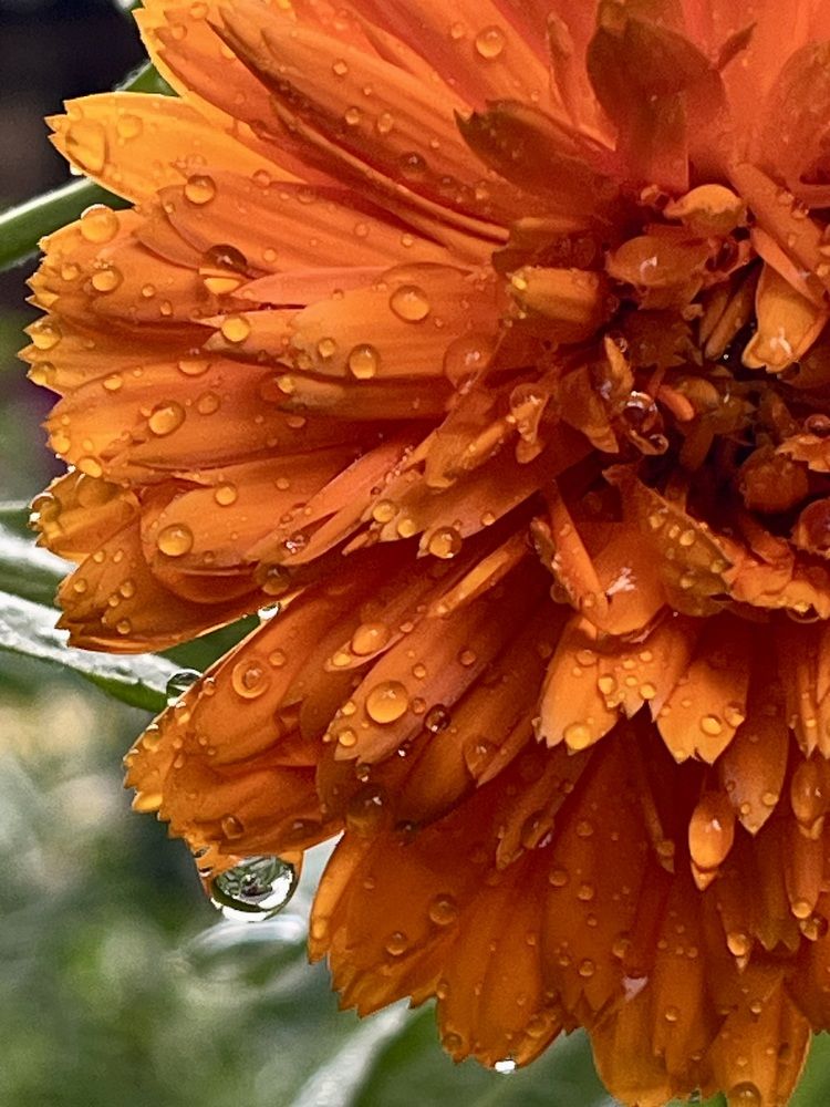 Photograph by Ирина Селиверстова