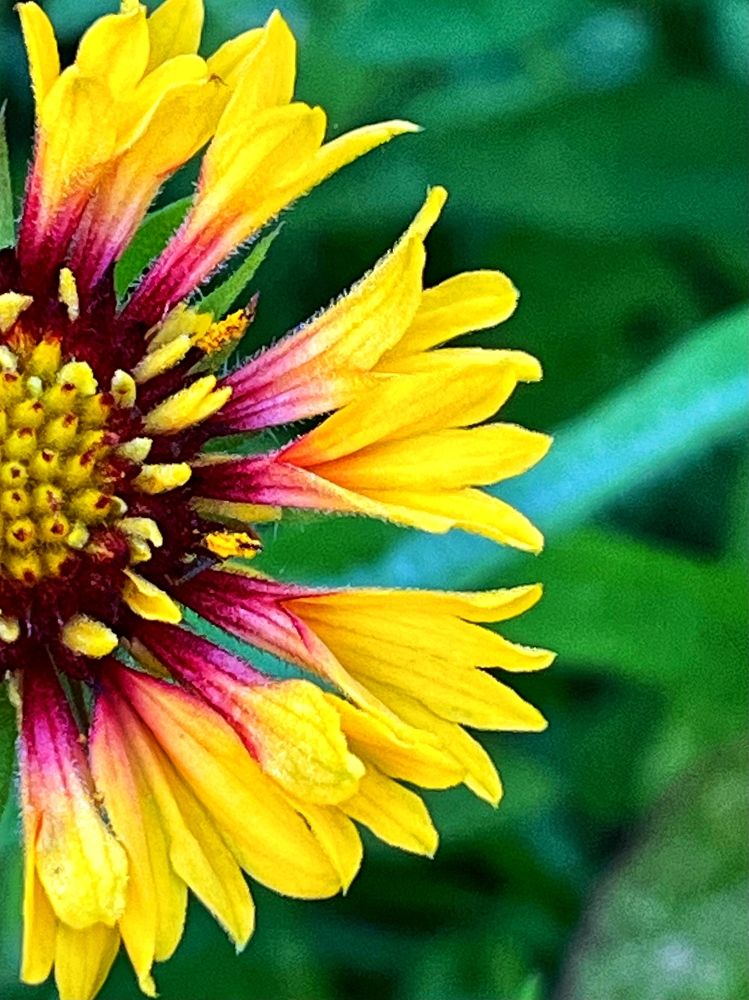 Photograph by Ирина Селиверстова