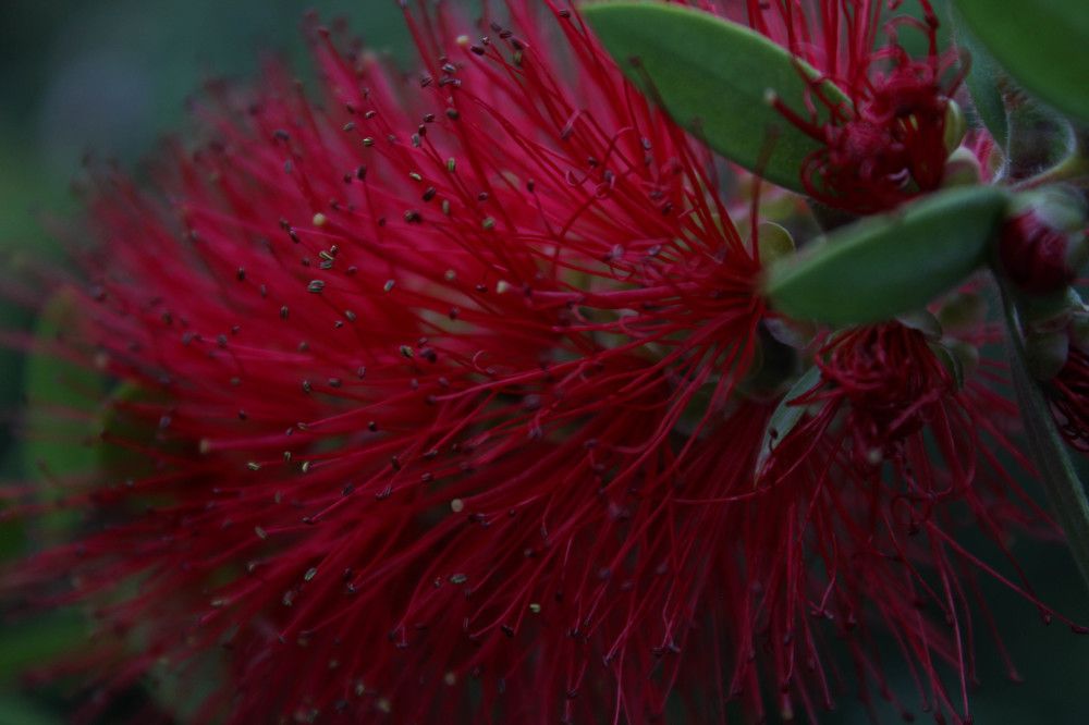 Photograph by Елена Макаренко