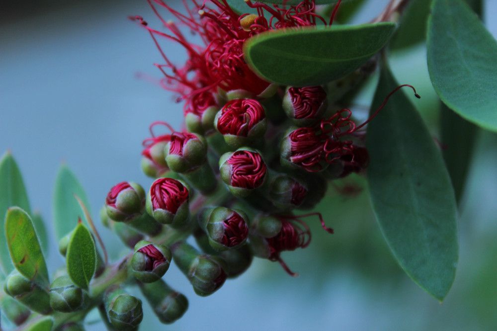 Photograph by Елена Макаренко