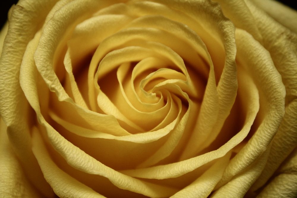 Photograph by Анастасия Свиридова