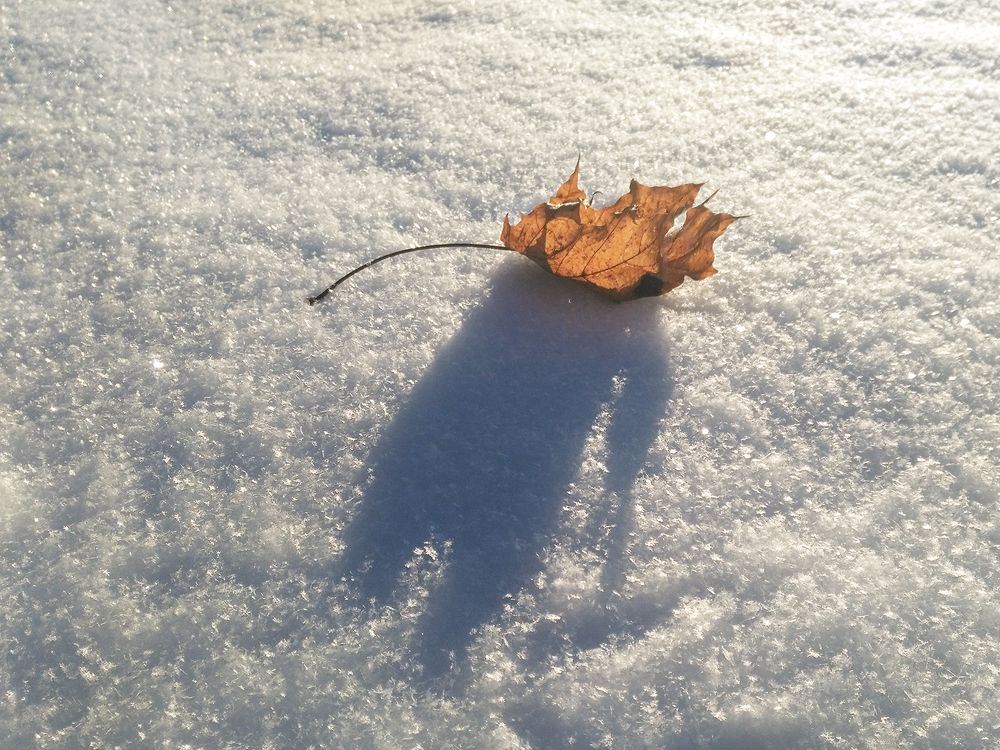 Фотография автора Борис Журавлёв