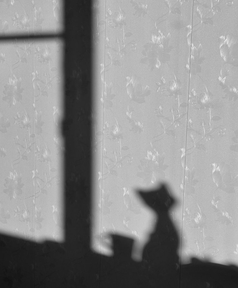 Photograph by Татьяна Раковская