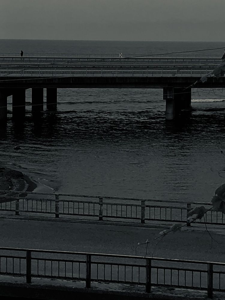 Фотография автора Карина Даутова