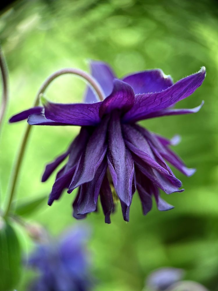 Photograph by Екатерина Одинцова