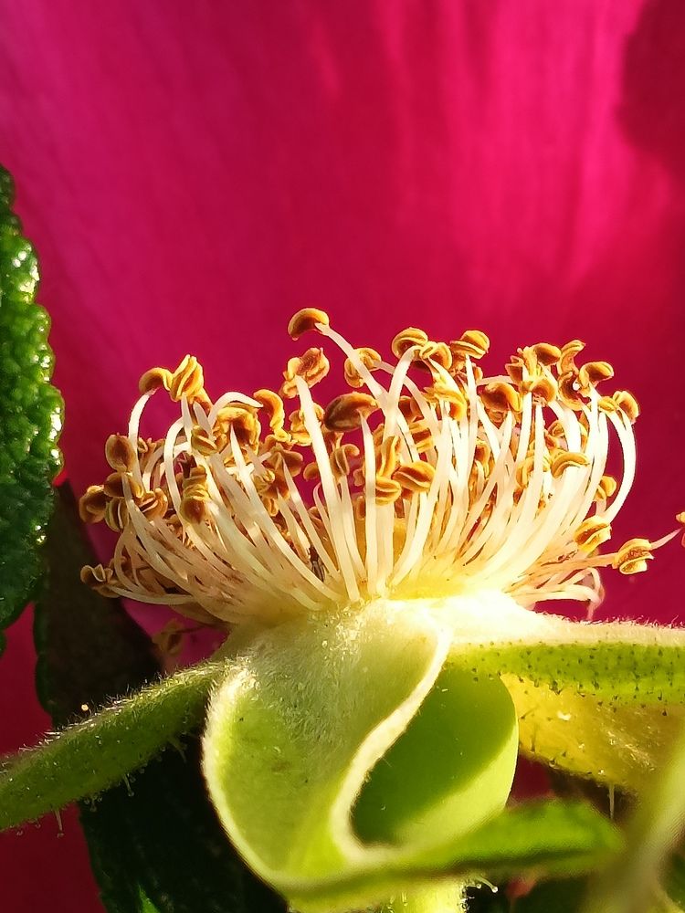 Photograph by Галина Смирнова