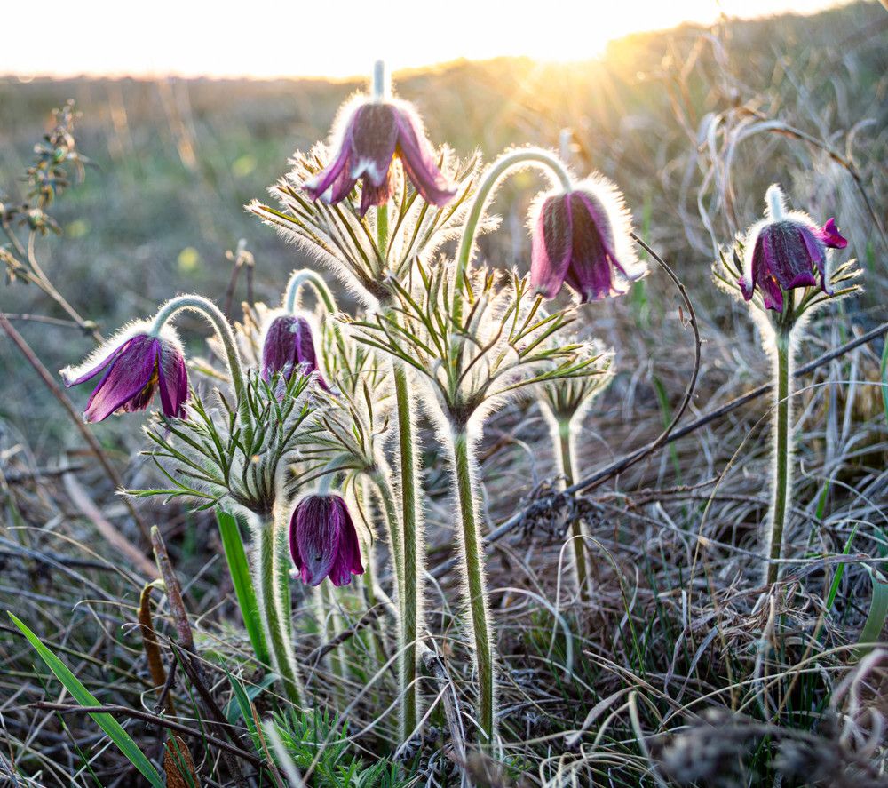 Фотография автора Зеленкова Николаевна