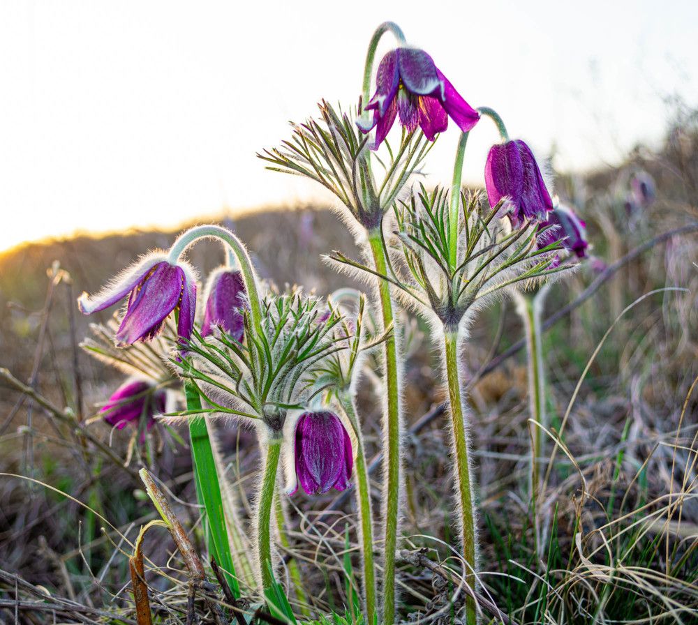 Фотография автора Зеленкова Николаевна