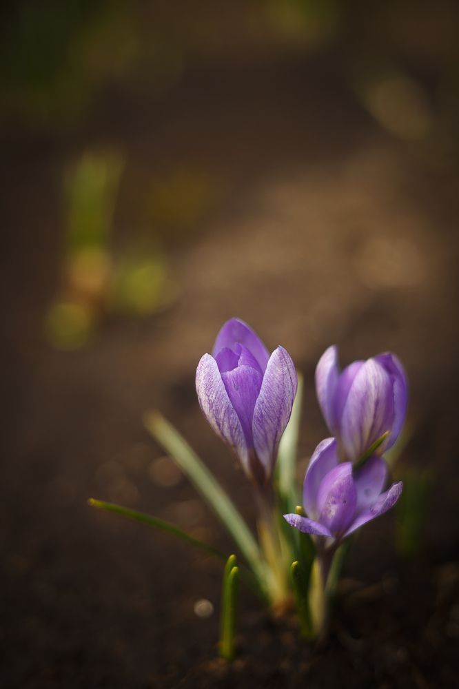 Photograph by Елена Власова