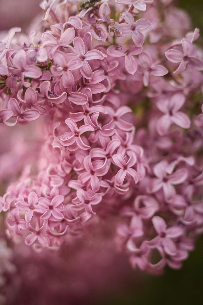 Photograph by Елена Власова