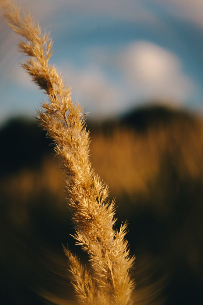 Photograph by Ольга Крукле