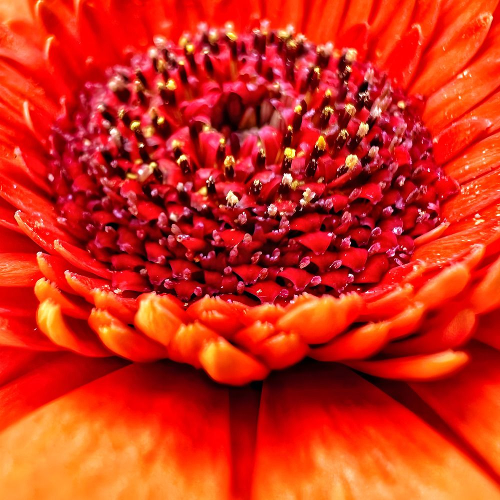 Photograph by Lana Cardi