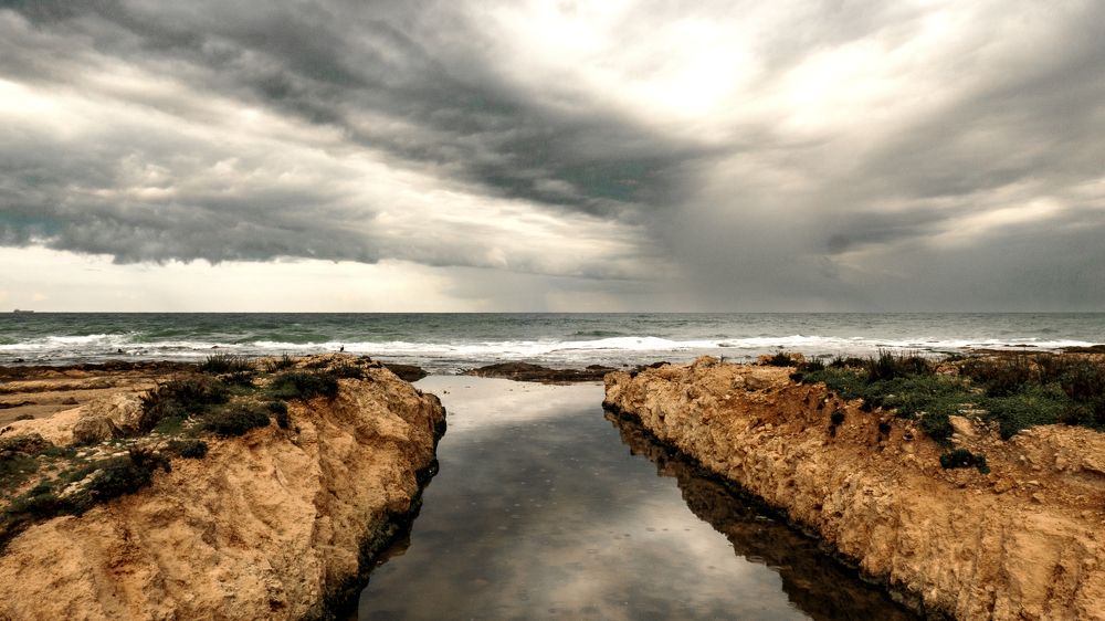 Photograph by Lev Tsenter